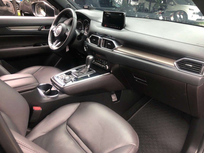 CX8 Luxury 2024 CX8 Luxury 2024