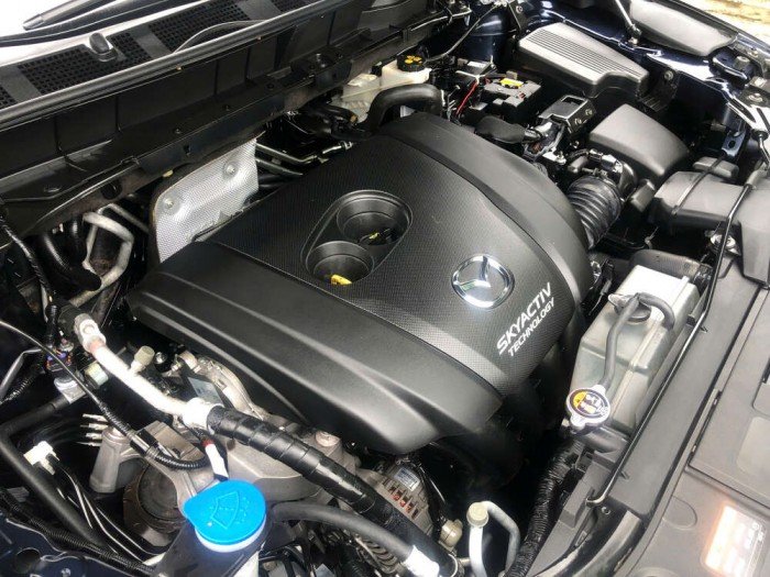 CX8 Luxury 2024 CX8 Luxury 2024