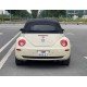 Volkswagen beelte 2009 Volkswagen beelte 2009
