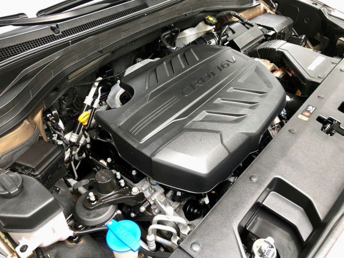 Santafe Premium 2.2L 2019 Santafe Premium 2.2L 2019