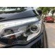 Terra V 2019 Terra V 2019