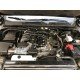 Terra V 2019 Terra V 2019