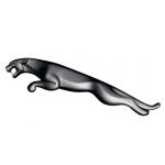 Jaguar Jaguar
